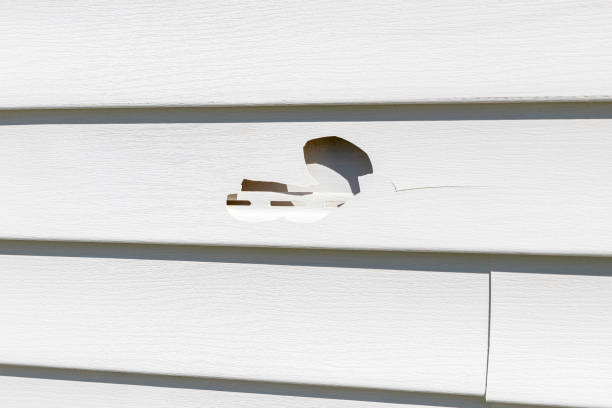 Best Fiber Cement Siding Installation  in Centerfield, UT