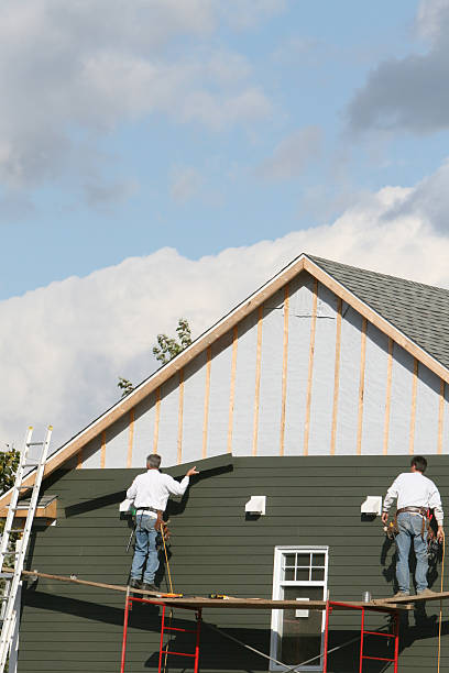 Best Siding Painting and Refinishing  in Centerfield, UT
